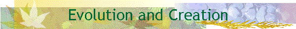 Evolution and Creation
