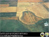 Aerial view showing area where wetlands were drained